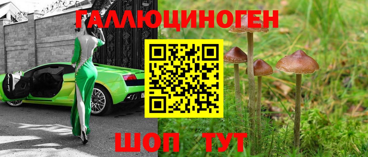где купить наркоту  Галлюциногенные грибы Magic Shrooms  Нальчик  Вход с VPN  Галлюциногенные грибы ЛСД 